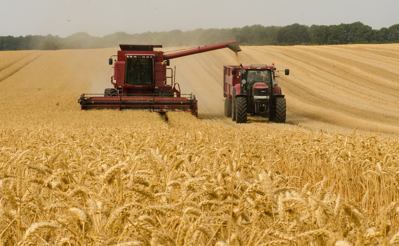 Exporters of grain from Perth